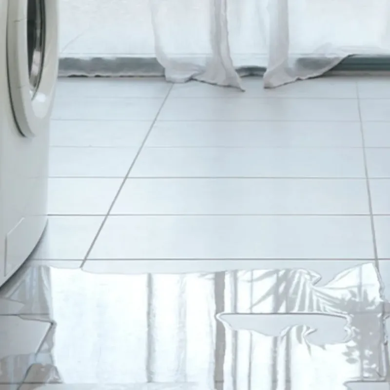 Appliance Leak Cleanup in Warner Robins, GA