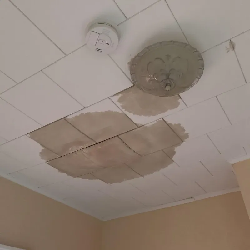Ceiling Water Damage Repair in Warner Robins, GA