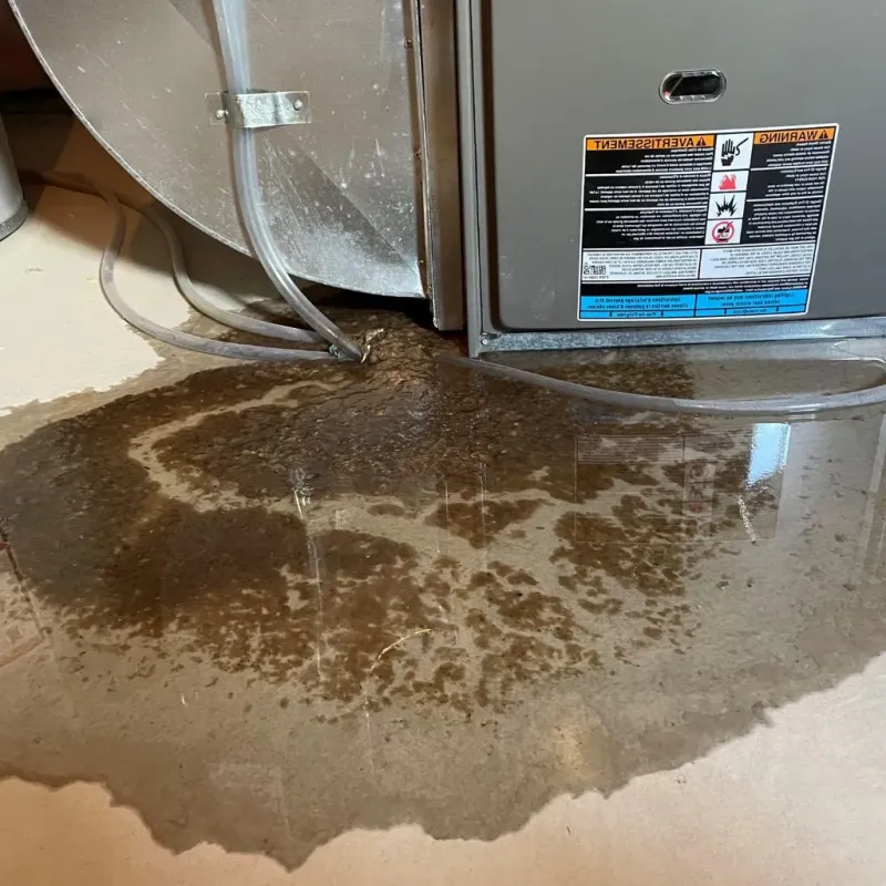 Pipe Burst and Leak Restoration in Warner Robins, GA
